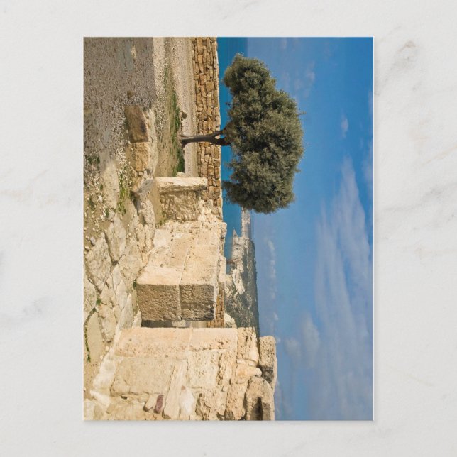 Kourion arkeologianläggning, Cypern Vykort (Framsida)