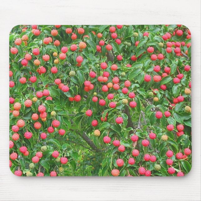 Kousa Dogwood Mousepad Musmatta (Framsidan)