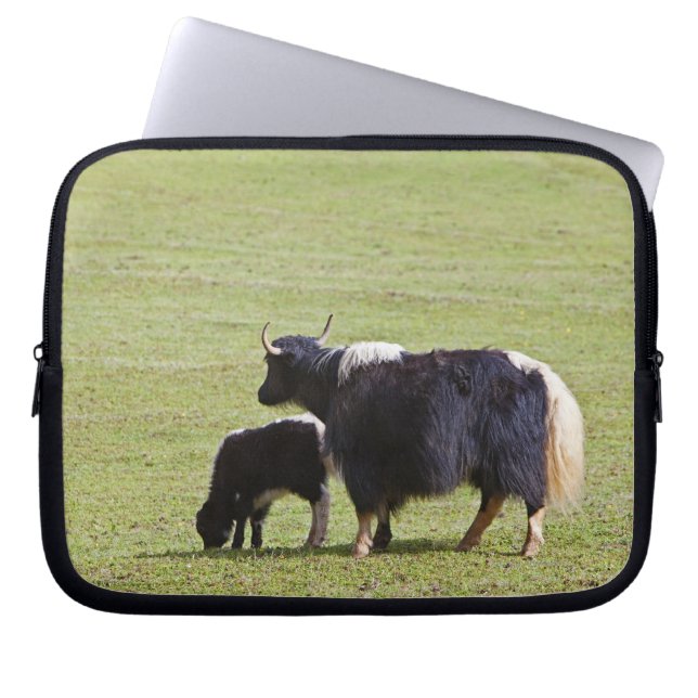 Kow & Calf Yak | Lijiang Laptop Sleeve (Framsidan)