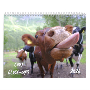Kow Close-UPS 2026 Calendar Kalender