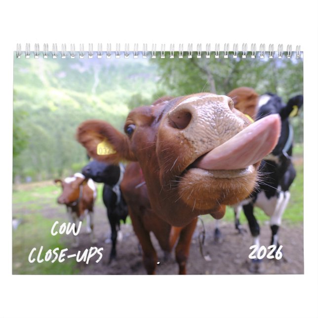 Kow Close-UPS 2026 Calendar Kalender (Omslag)