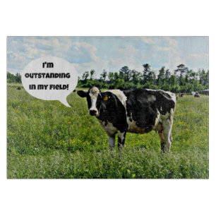 Kow Humor: "Jag är enastående i fält."