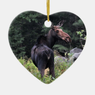 Kow Moose Julgransprydnad Keramik