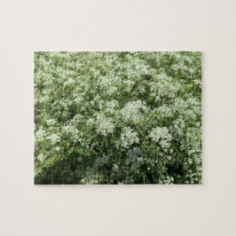 Kow Parsley White Flowers Nature Pussel