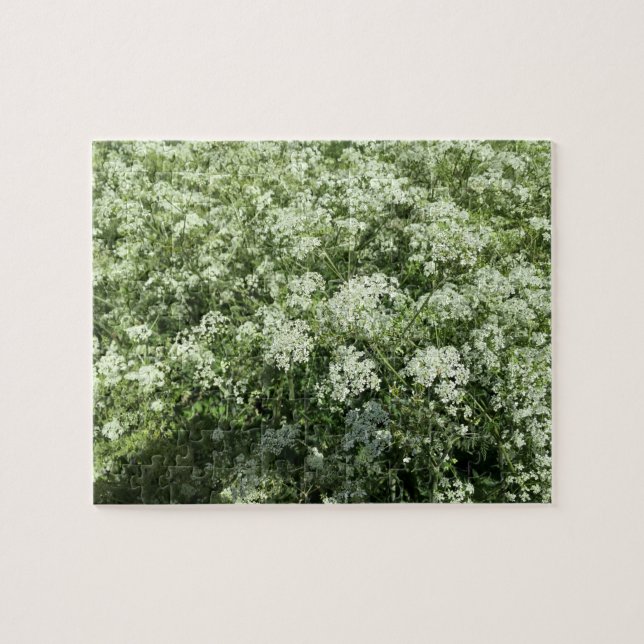 Kow Parsley White Flowers Nature Pussel (Horisontell)