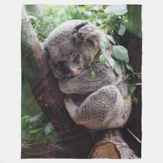 KOWALA TA SIG EN TUPPLUR FLEECEFILT (Framsidan)