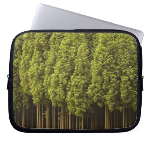 Koya Sugi cederträträd Laptop Fodral