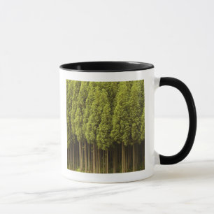 Koya Sugi cederträträd Mugg
