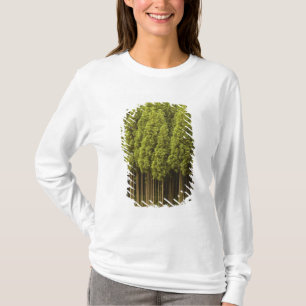 Koya Sugi cederträträd T Shirt