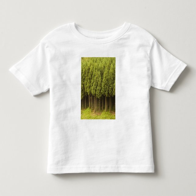 Koya Sugi cederträträd Tee (Framsida)