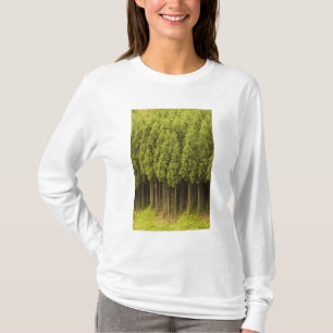 Koya Sugi cederträträd Tee Shirt