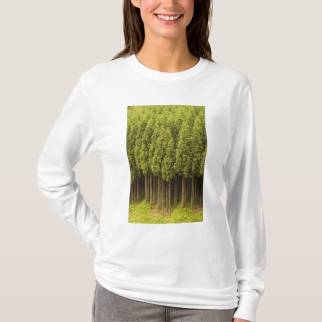 Koya Sugi cederträträd Tee Shirt (Framsida)