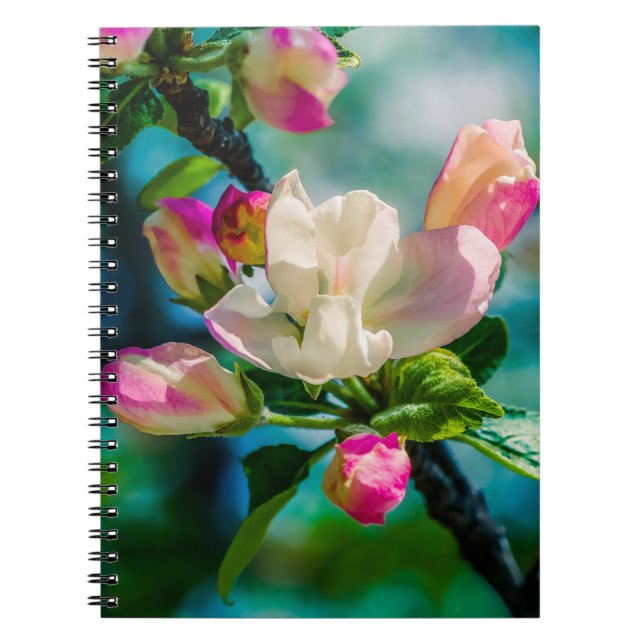 Krabapple-blommor och -knoppar anteckningsbok (Framsidan)