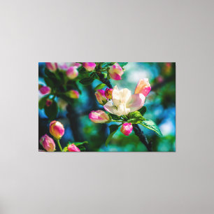 Krabapple-blommor och -knoppar canvastryck
