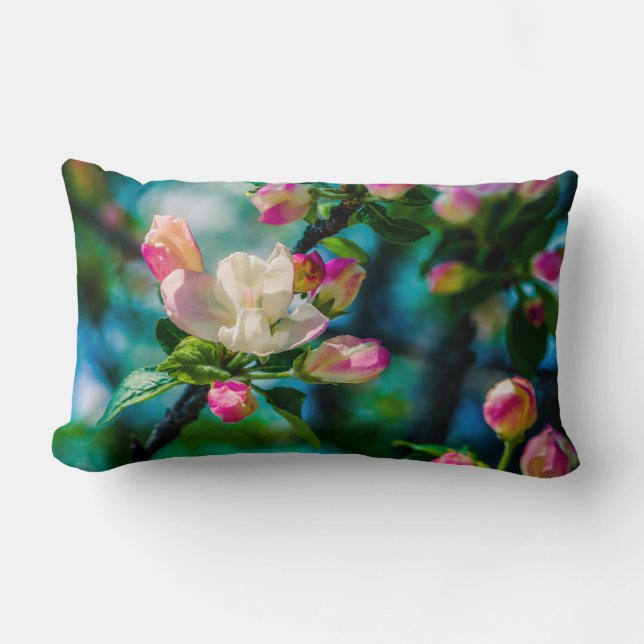 Krabapple-blommor och -knoppar lumbarkudde (Framsida)