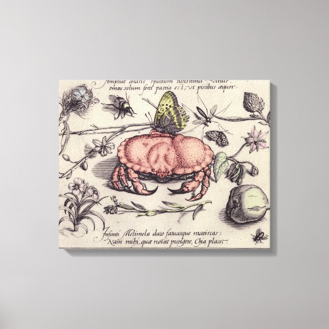 Krabb Botanisk Insekt Blomm Illustration Canvastryck (Framsida)