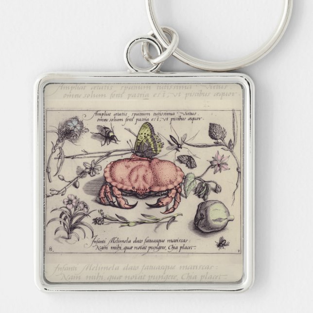 Krabb Botanisk Insekt Blomm Illustration Fyrkantig Silverfärgad Nyckelring (Framsidan)