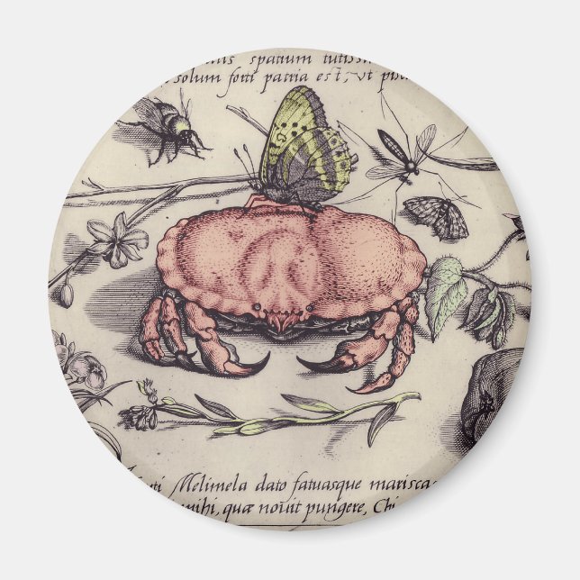 Krabb Botanisk Insekt Blomm Illustration Magnet (Framsidan)