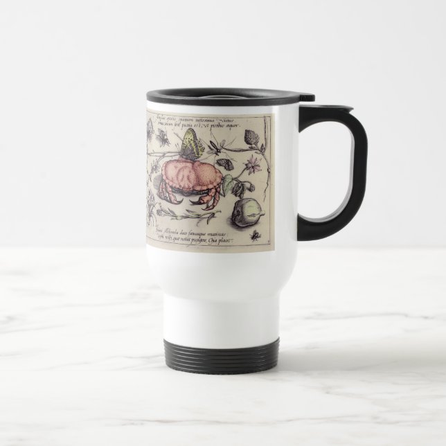 Krabb Botanisk Insekt Blomm Illustration Resemugg (Höger)
