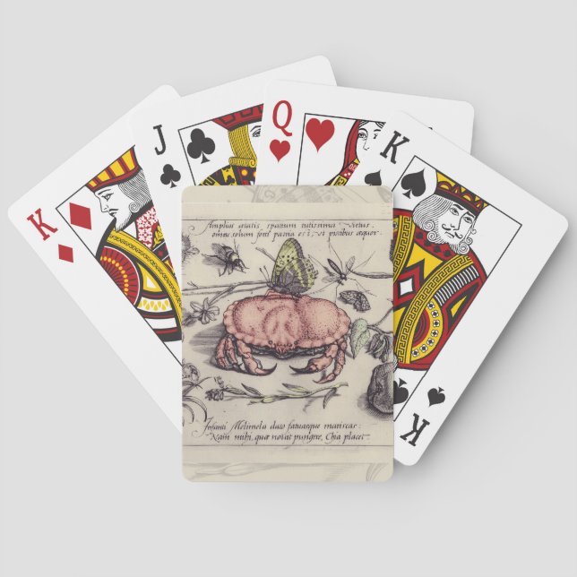 Krabb Botanisk Insekt Blomm Illustration Spel Kort (Baksidan)