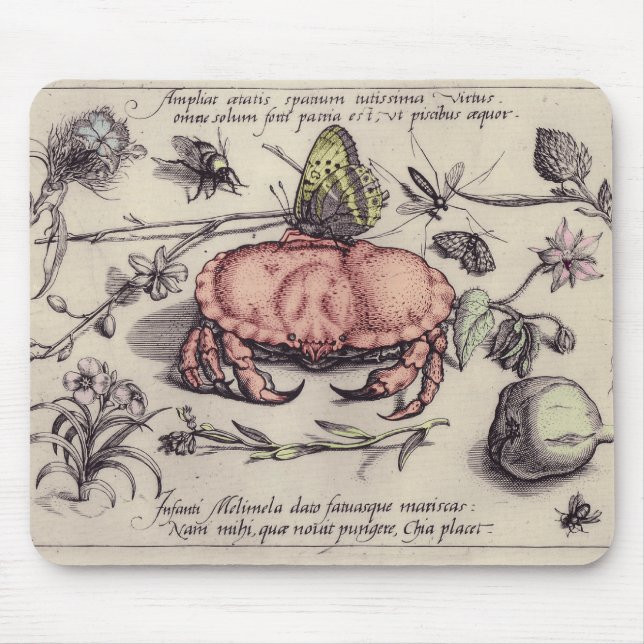 Krabb botanisk insektsblomma illustration musmatta (Framsidan)