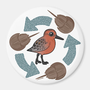 Krabba-Fnurran cyklar Magnet