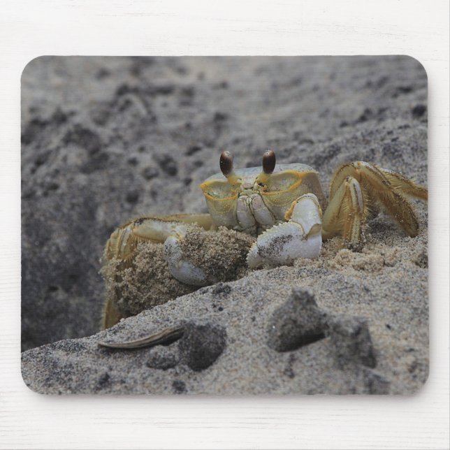 Krabba, kräftdjur, sand musmatta (Framsidan)