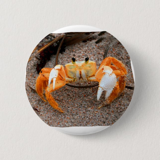 Krabba på den strandColorized orangen Knapp (Framsida)