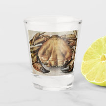 Krabba (skapelse under havet) (av Albrecht Durer)