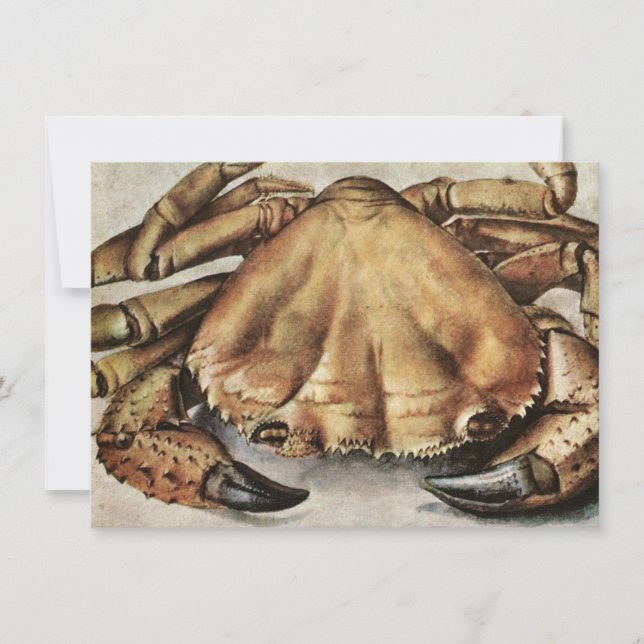Krabba (skapelse under havet) (av Albrecht Durer) Kort (Framsida)