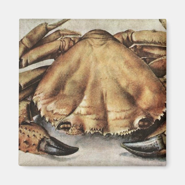 Krabba (skapelse under havet) (av Albrecht Durer) Magnet (Framsidan)