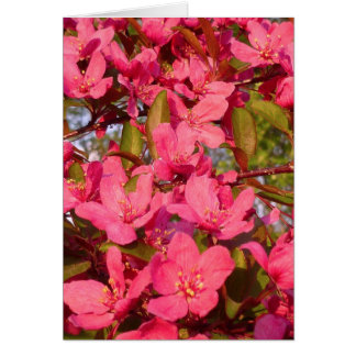 KrabbaApple blommar Hälsningskort