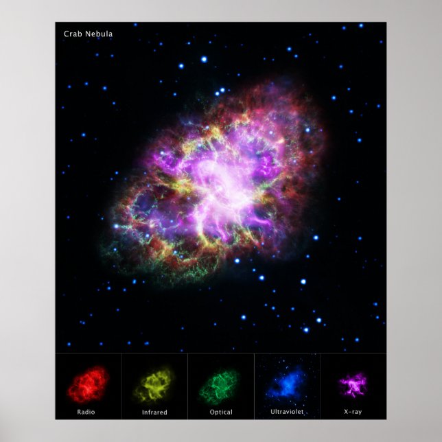 Krabbnebulosan Supernovarest Hubble-komposit Poster (Framsidan)