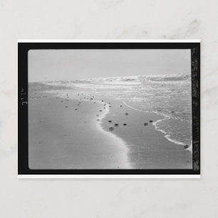 Krabbor på stranden. På Wadi Ghuzze 1920-1933.tif Vykort