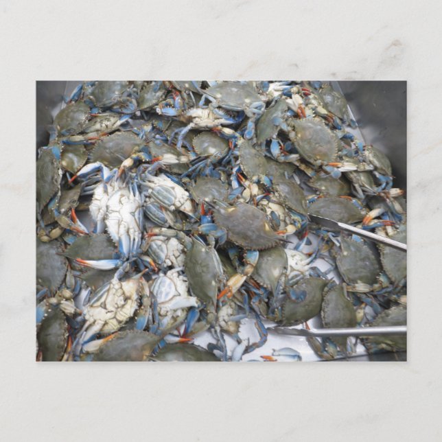 Krabbor Vykort (Framsida)