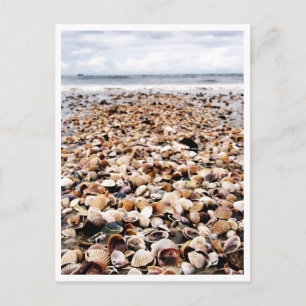 Krabi Thailand Seashells på Seashore Postcar Vykort