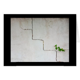 Krackad Hälsningskort