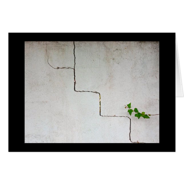 Krackad Hälsningskort (Framsidan Horizontal)