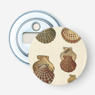 Kräftade antika Snäckor Flasköppnare