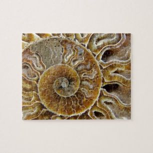 Kräftdjurst fossil- pussel