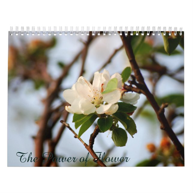 Kraften av blomma kalender (Omslag)