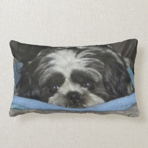 Kraftfull marionettfyllning av Shih Tzu Lumbarkudde