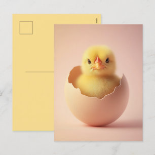 Kraftig Chick i Eggshell Helg Vykort