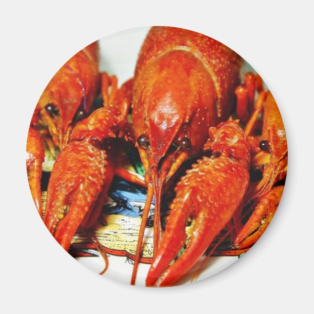 Kräftor Crawdads Craytfish Magnet (Framsidan)