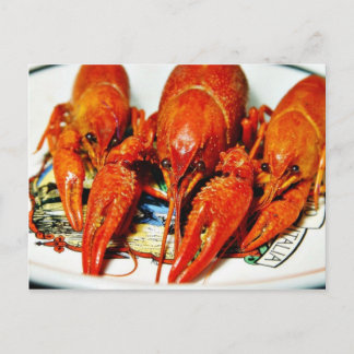 Kräftor Crawdads Craytfish Vykort
