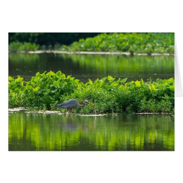 Kräftor måltid OBS kort (Framsidan Horizontal)