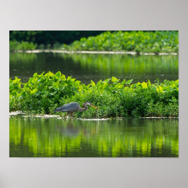 Kräftor måltid poster (Framsidan)