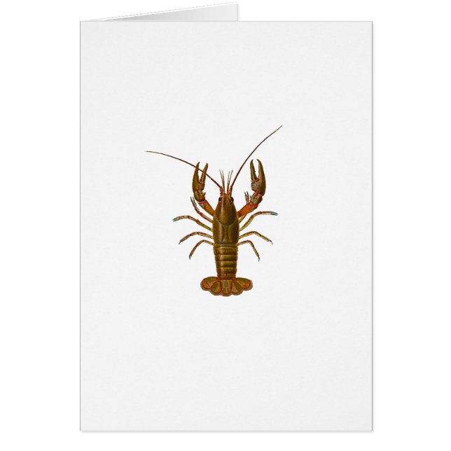 Kräftorlogotyp Hälsningskort (Framsidan)