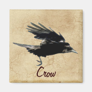 Kråka Birdlover Wildlife Supporter Magnet