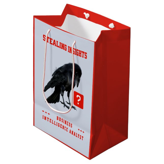 Kråka Business Intelligence-analytiker (Framsidan Vinklad)